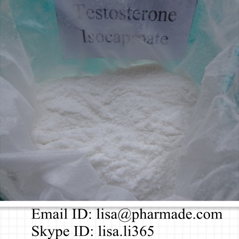Testosterone Isocaproate Testosterone Raw Powder